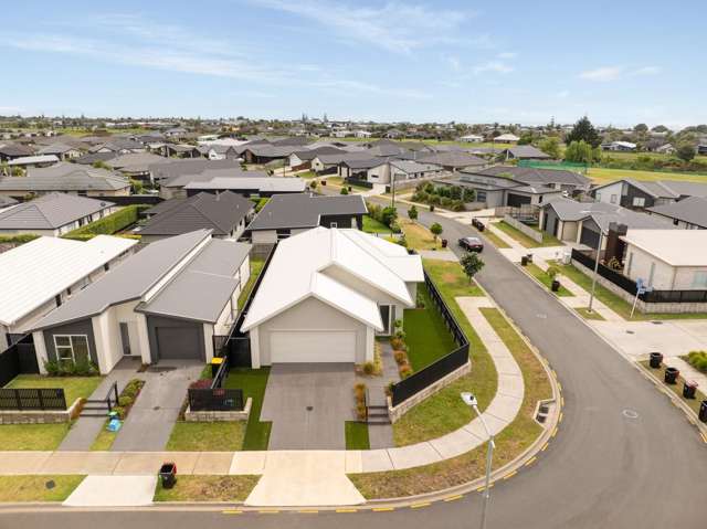 Elevated & Effortless