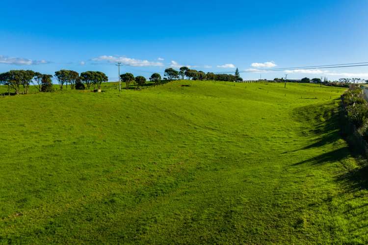 1000 Redhill Road Te Kopuru Kaipara Rural Property For Sale One