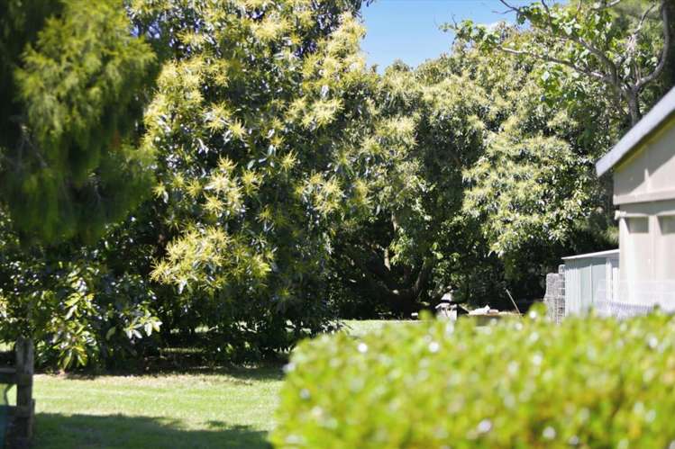 47 Te Puke Highway, Kairua Te Puke_33