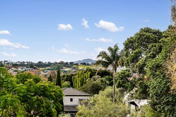 9a Ngapuhi Road Remuera_11