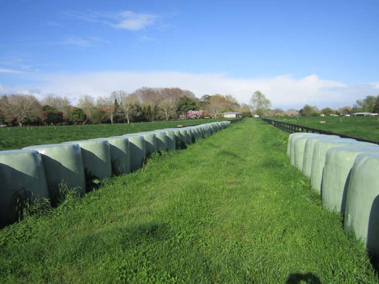 2997 State Highway 26 Morrinsville_4