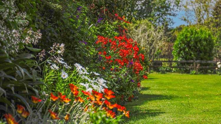 86 Streamlands Swamp Road Kaipara Flats_2