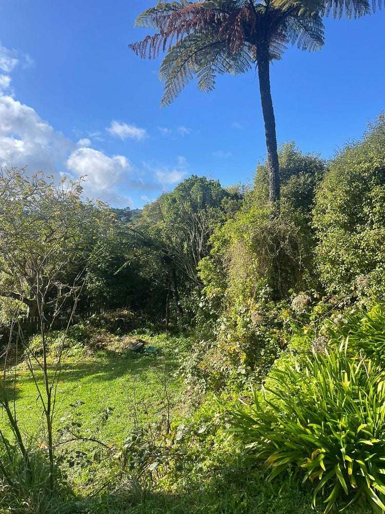 138 Miromiro Road Normandale_12