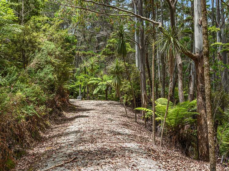 264 Taylor Road Taipa_5