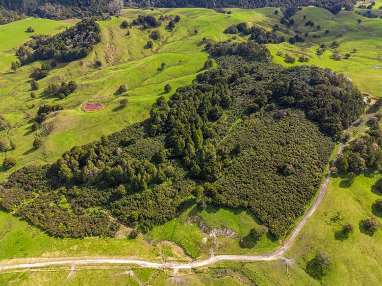 325b Haruru Road Wainui_7