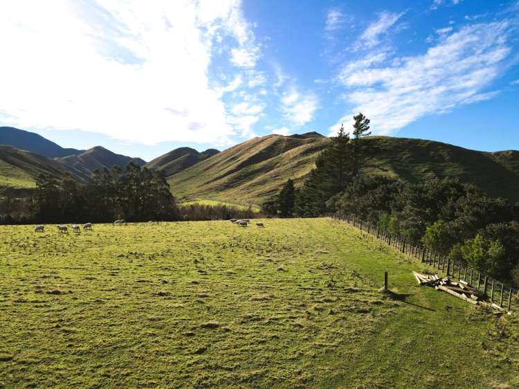 Lot 2/9 Tamaki East Road Dannevirke_9