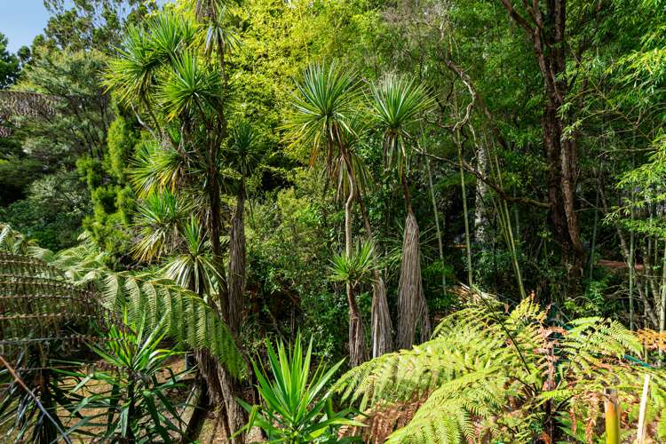 332 Huia Road Titirangi_18