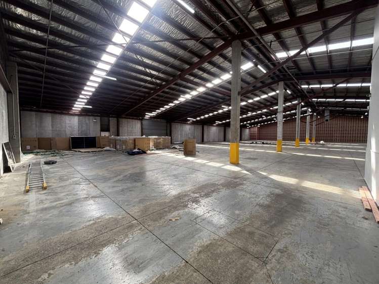 11 McDonald Street Morningside_2