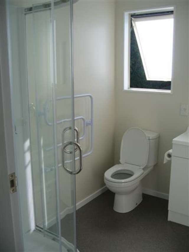 7a Birch Street Johnsonville_1