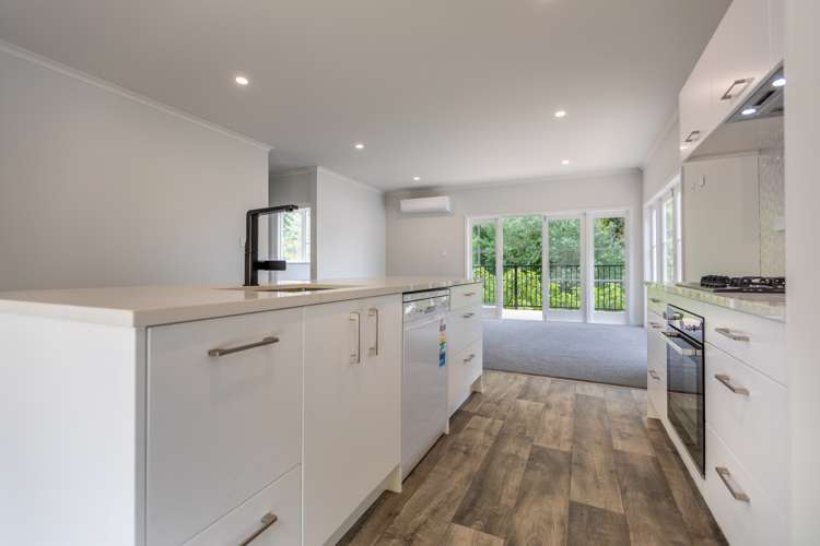 157 Shakespeare Road Bluff Hill_8