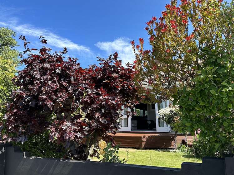 53 Afghan Street Pleasant Point_12