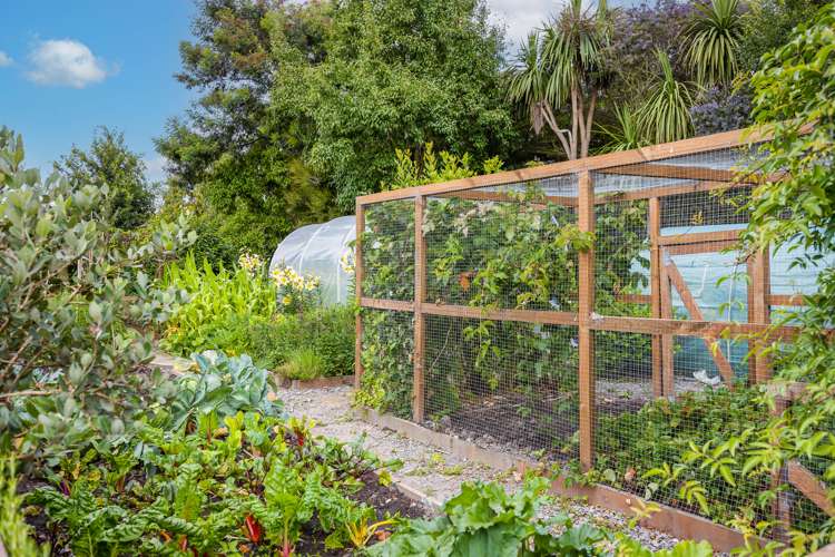 33 Adian Way Loburn_23