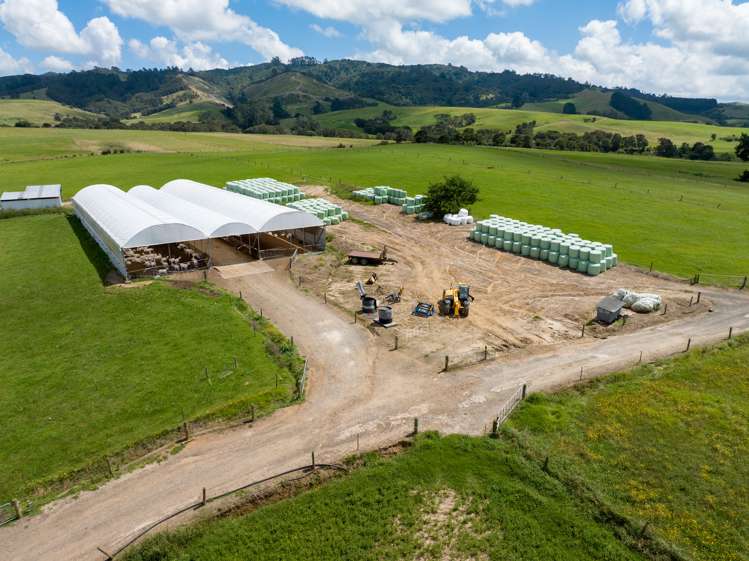 224 Herbert Road Morrinsville_7