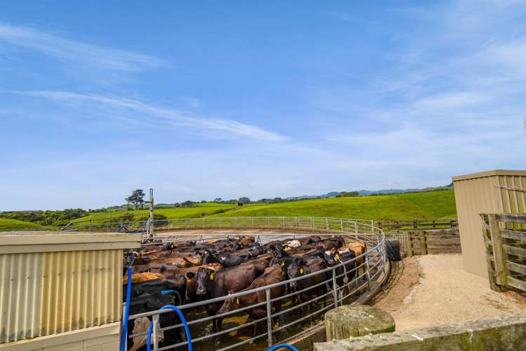 78a Waitoetoe Road Mimi_11