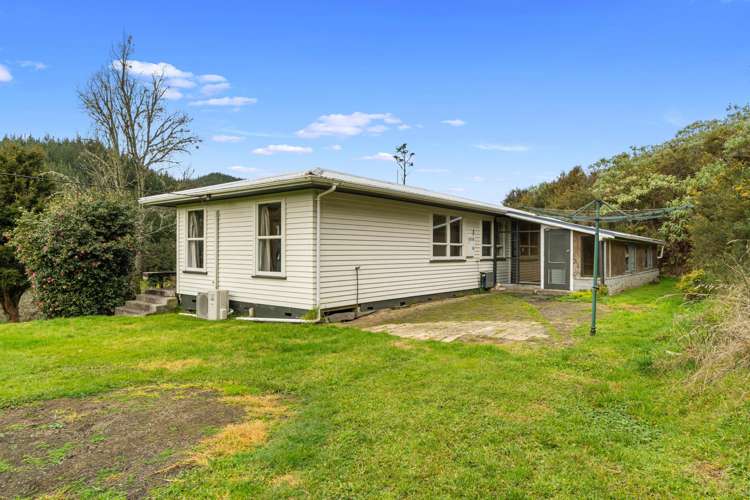 303 Cogswell Road Raglan_21