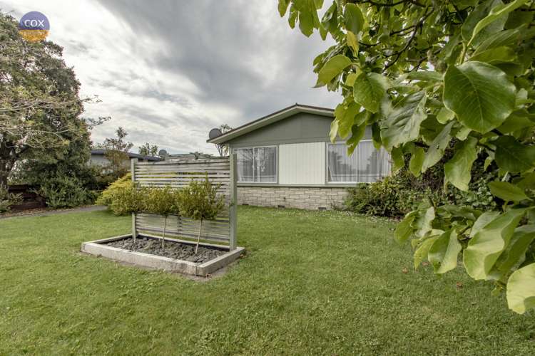 6 Bristol Street Tamatea_7