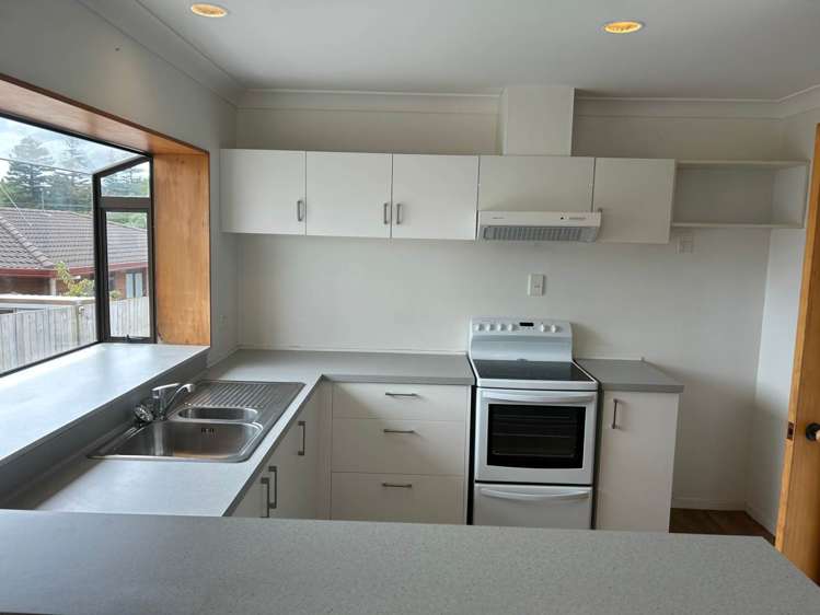 147A Edinburgh Street Pukekohe_3