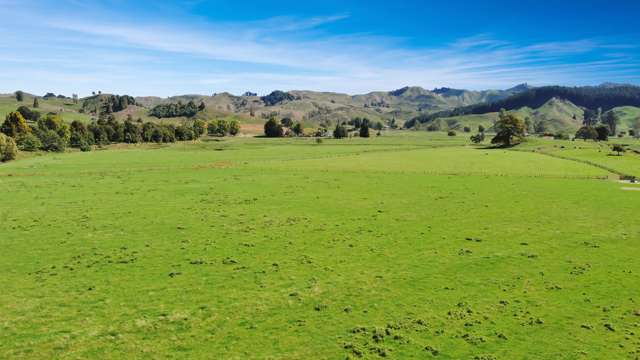 73 Rimu Road Ohura_1