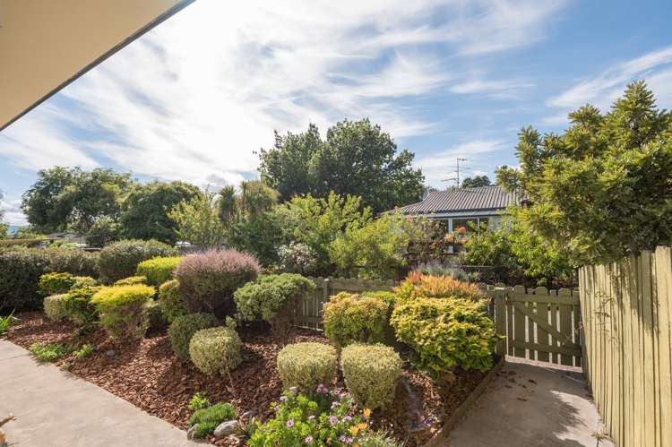 137b Toi Toi Street Toi Toi_12