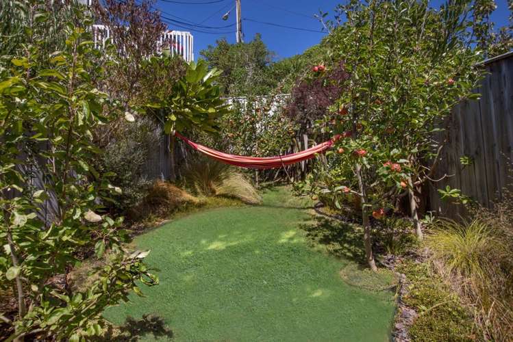 66 Camperdown Road Miramar_6