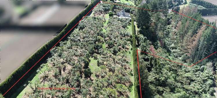 268 Ruahihi Road Omanawa_21