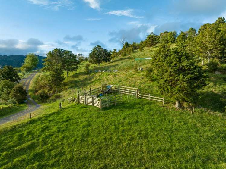 140b Doel Road Kawakawa_8