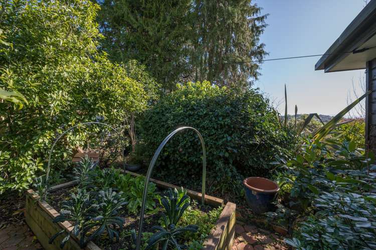 26 Allan Street Nelson South_22