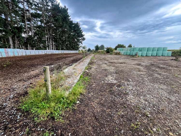 318 Waipango Ermedale Road Gummies Bush_14