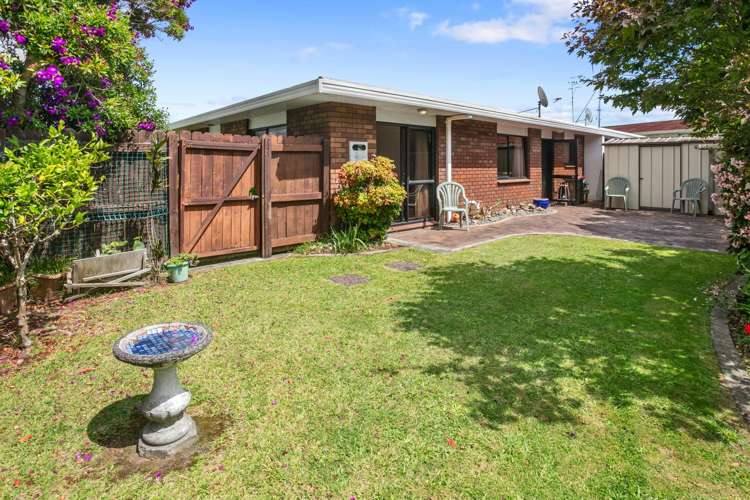 2A Blundell Place Katikati_15