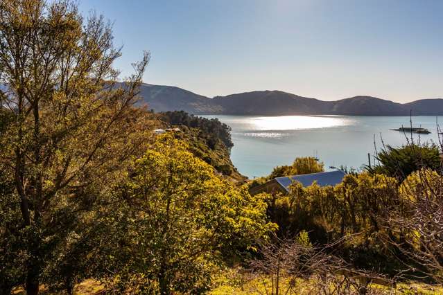 Clear Instructions: This Must Be Sold