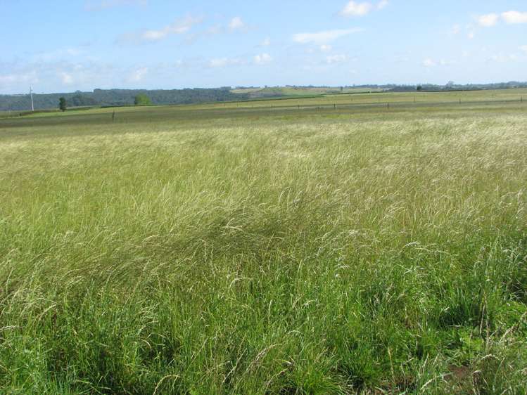 Lot 2 Cooks Lane Kerikeri Surrounds_2