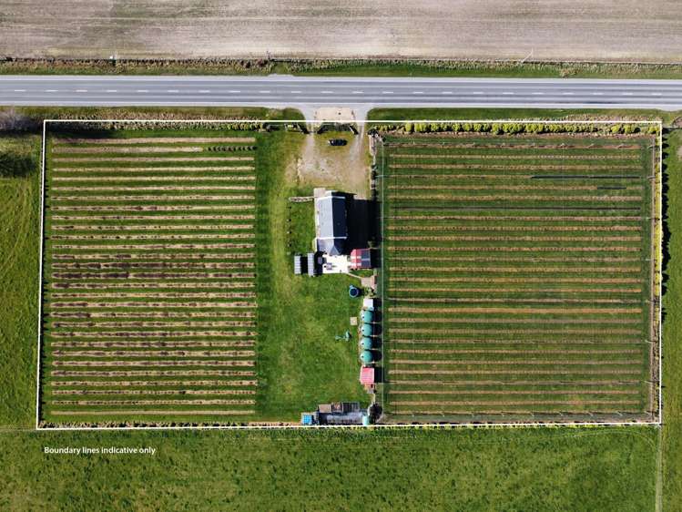 1686 Waimate Highway Makikihi_21