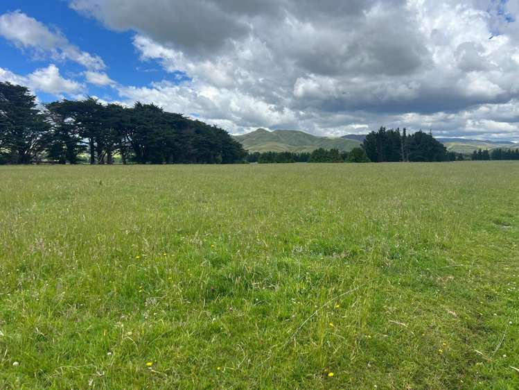 220 Larsen Road Eketahuna_8