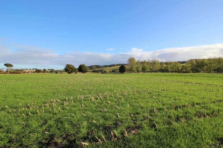 49 Takahiwai Road Ruakaka_7