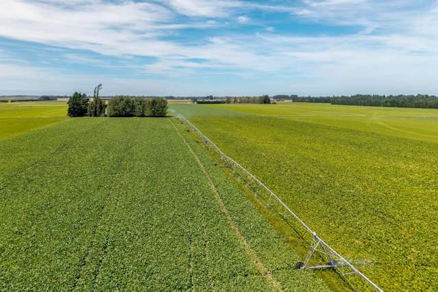 83 Highfield Road Dunsandel_4