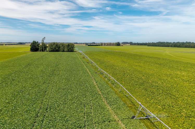 83 Highfield Road Dunsandel_4