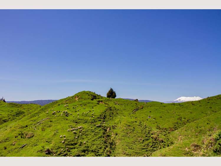 314 Kawautahi Road Owhango_19