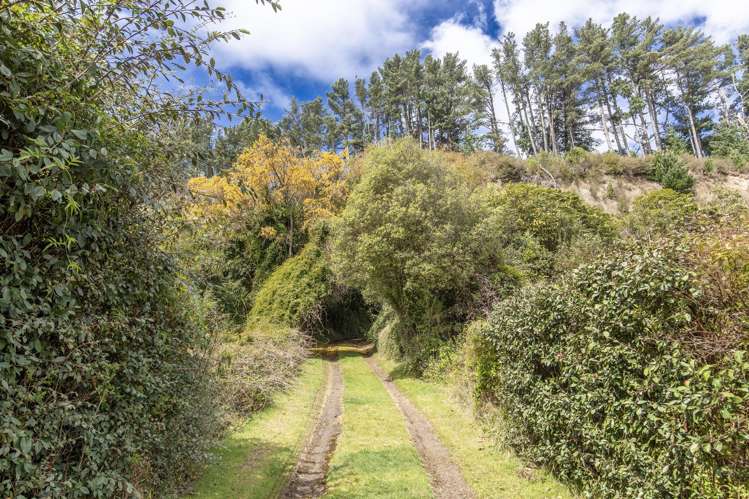 40 Gosling Grove Turangi_23