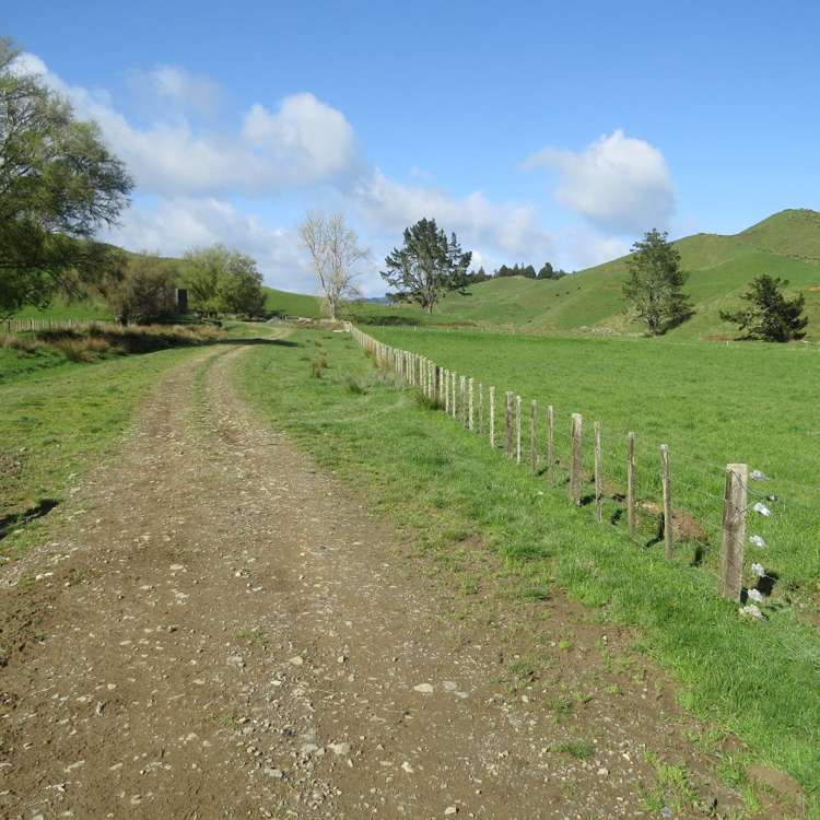 168 Pao Road Aria_16