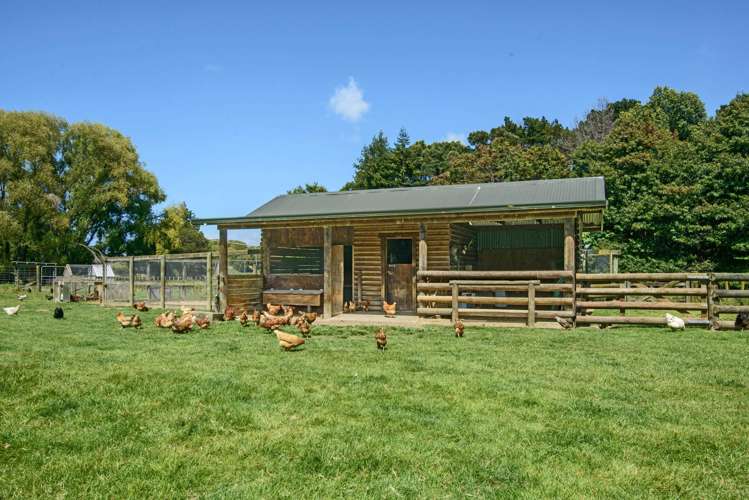 225 Maclaurin Road Makauri_11