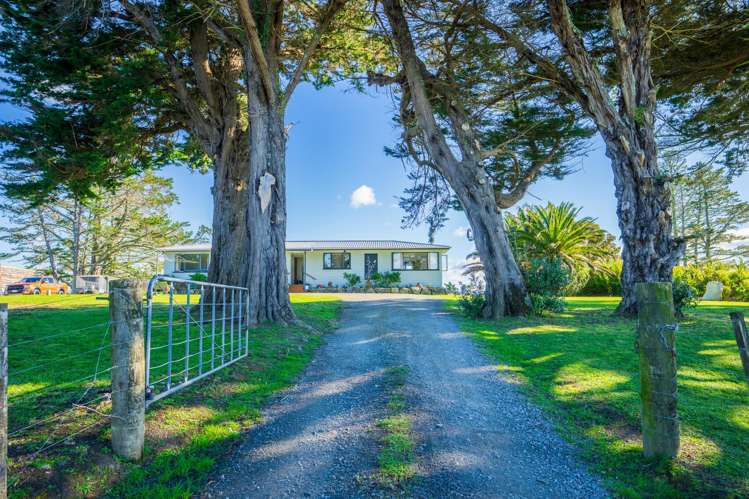 243 Pataua South Road Pataua South_5