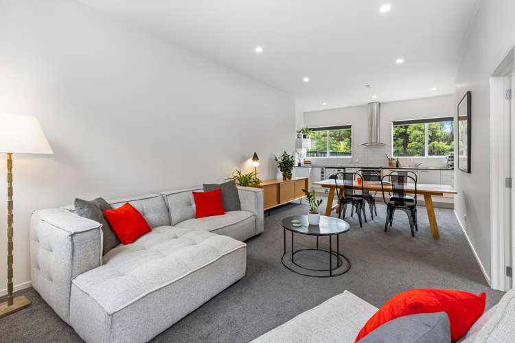 227 Lonely Track Road Albany Heights_19