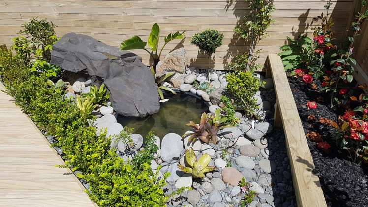 38 Headland Drive Long Bay_19