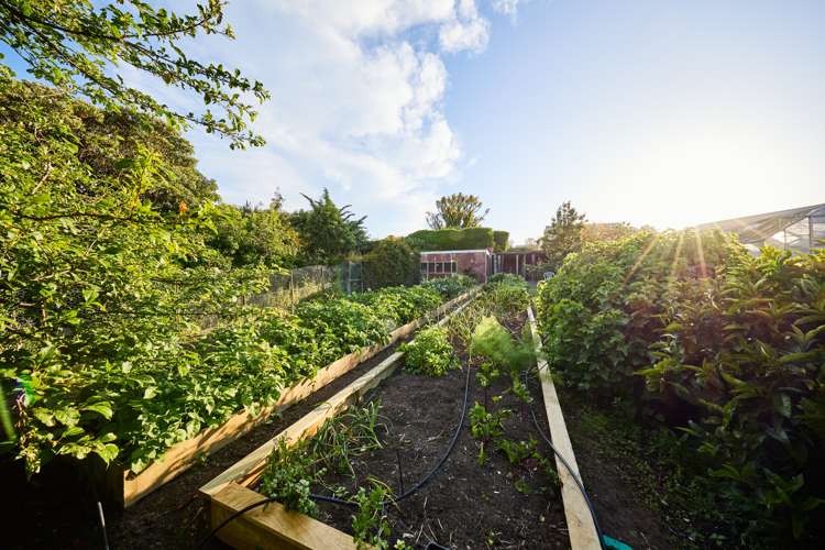 12 Deal Street Kaikoura_66