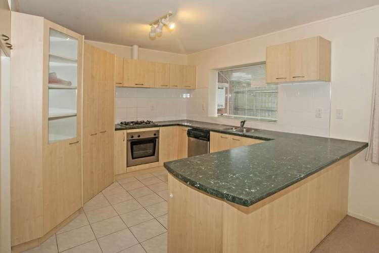 17e Cradock Street Avondale_1