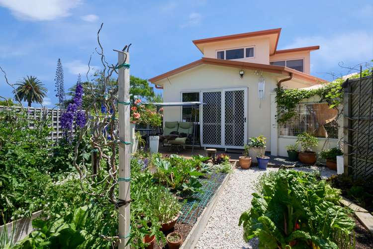 48 Georges Drive Napier South_15