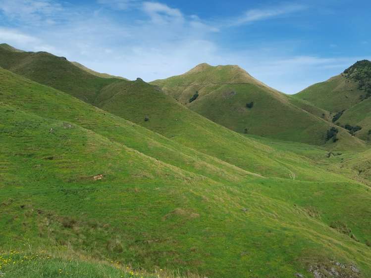 629 Tamaki East Road Rangitikei Surrounds_12