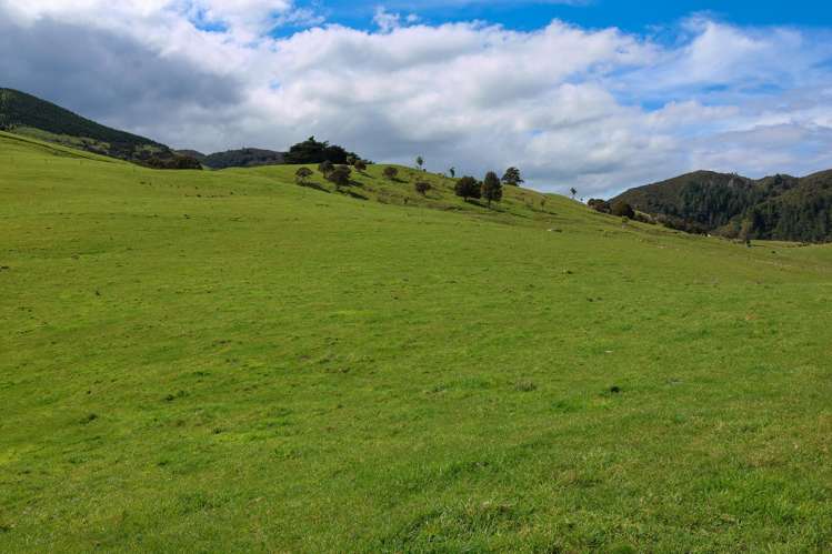 98 Millstream Road Dannevirke_22
