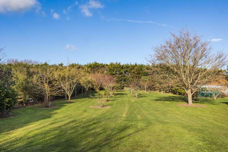 16 Spring Street Foxton_35