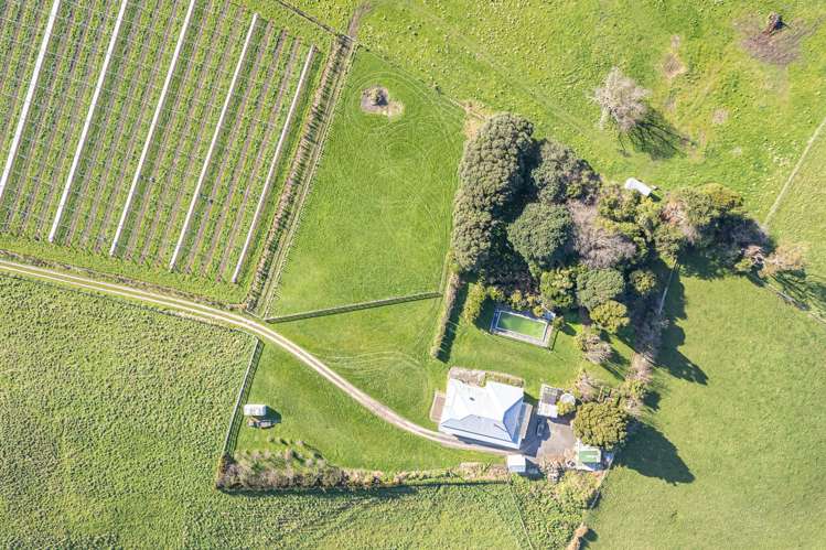 199 Watt Livingstone Road Westmere_21